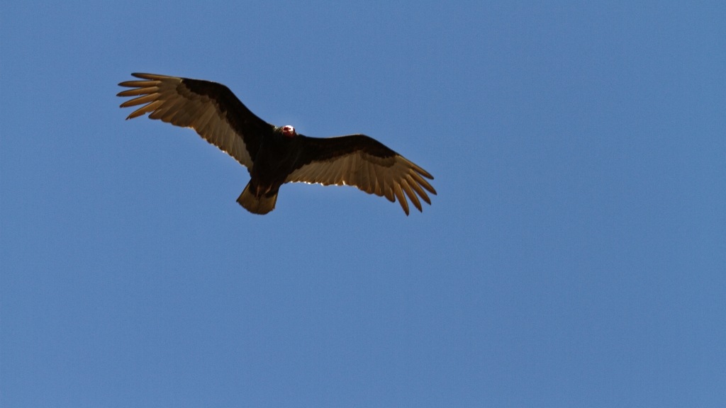 03 - La Serena (5).jpg